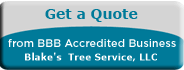 Blake Fishers Tree Service, LLC, Tree Service, Norfolk, VA