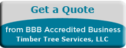 Timber Tree Services, LLC, Tree Service, Newport News, VA