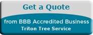 Triton Tree Service, Tree Service, Virginia Beach, VA
